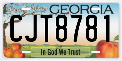 GA license plate CJT8781