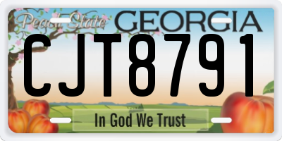 GA license plate CJT8791