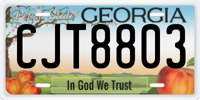 GA license plate CJT8803