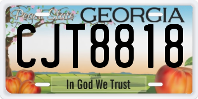 GA license plate CJT8818