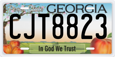 GA license plate CJT8823