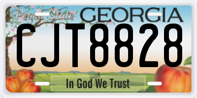 GA license plate CJT8828