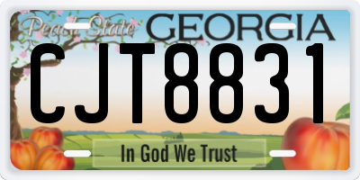 GA license plate CJT8831