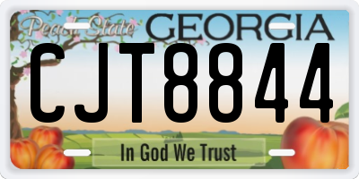 GA license plate CJT8844