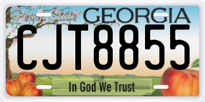 GA license plate CJT8855