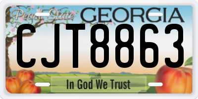 GA license plate CJT8863