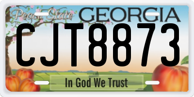GA license plate CJT8873