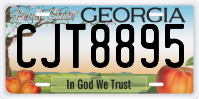 GA license plate CJT8895