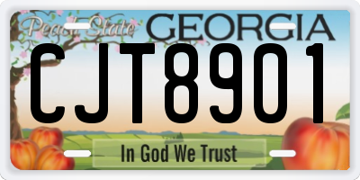 GA license plate CJT8901