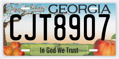 GA license plate CJT8907
