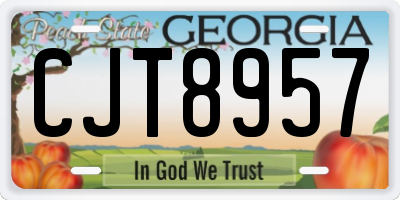 GA license plate CJT8957