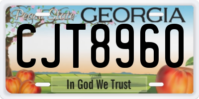 GA license plate CJT8960