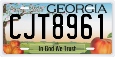 GA license plate CJT8961