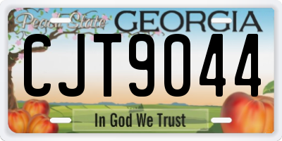 GA license plate CJT9044