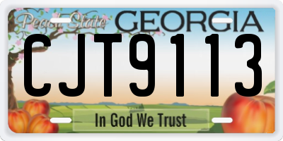 GA license plate CJT9113