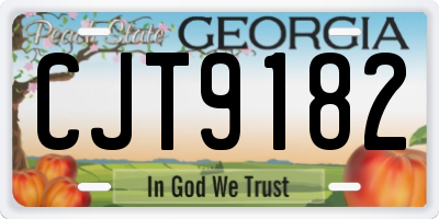 GA license plate CJT9182