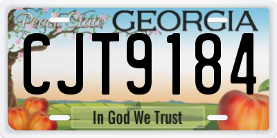 GA license plate CJT9184