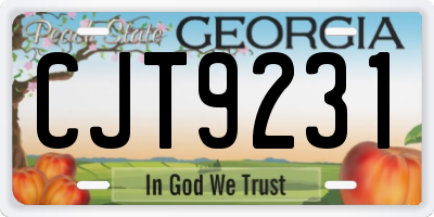 GA license plate CJT9231