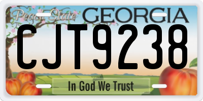 GA license plate CJT9238