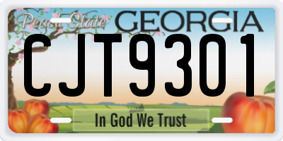 GA license plate CJT9301