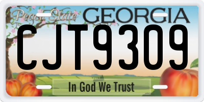 GA license plate CJT9309