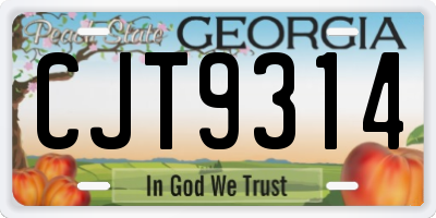 GA license plate CJT9314