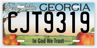 GA license plate CJT9319