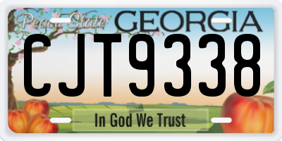 GA license plate CJT9338