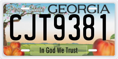 GA license plate CJT9381