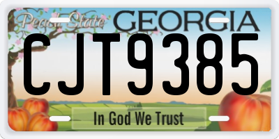 GA license plate CJT9385