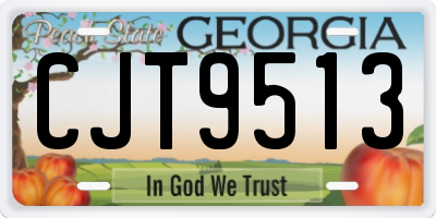 GA license plate CJT9513