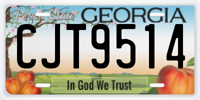 GA license plate CJT9514