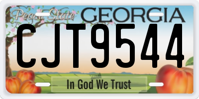 GA license plate CJT9544