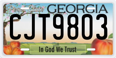 GA license plate CJT9803
