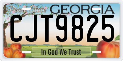 GA license plate CJT9825