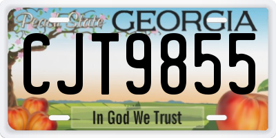 GA license plate CJT9855