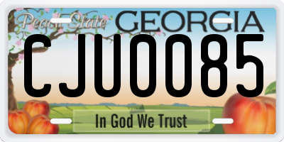 GA license plate CJU0085