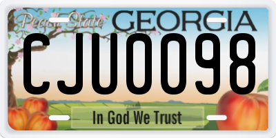 GA license plate CJU0098