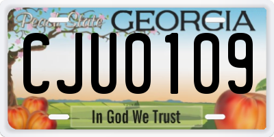 GA license plate CJU0109