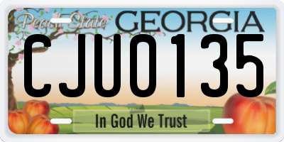 GA license plate CJU0135