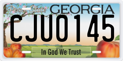 GA license plate CJU0145