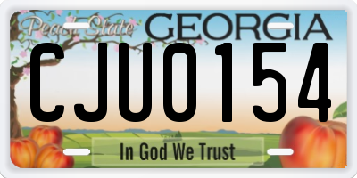 GA license plate CJU0154