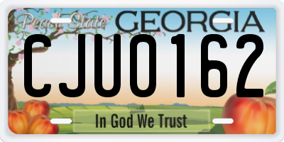 GA license plate CJU0162