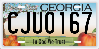 GA license plate CJU0167