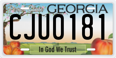 GA license plate CJU0181