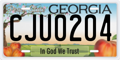 GA license plate CJU0204