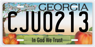 GA license plate CJU0213