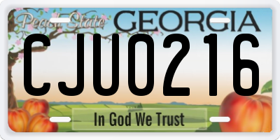 GA license plate CJU0216