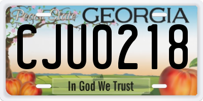 GA license plate CJU0218