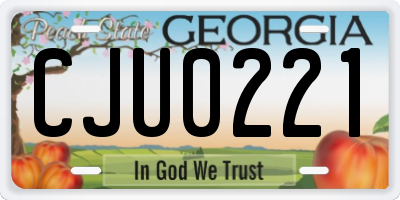 GA license plate CJU0221